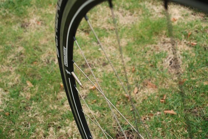 Argon 18 Krypton *DØD* billede 20