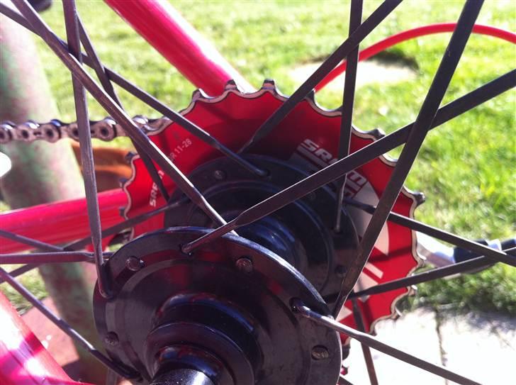 Giant TCR-C2 billede 9