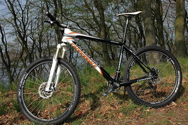 Cannondale Taurine billede 1