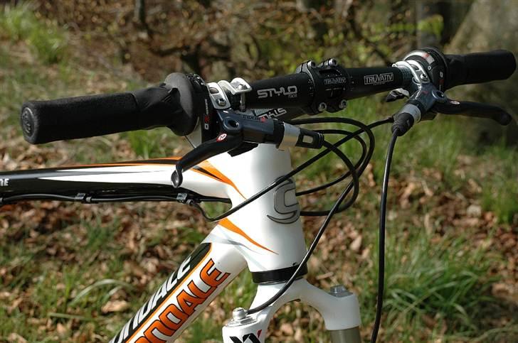 Cannondale Taurine billede 5
