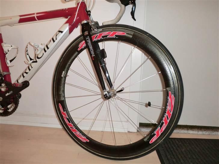 Principia Revolution *Solgt* billede 11