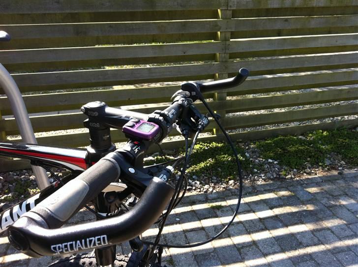 Giant Revel 2 - Solgt billede 13