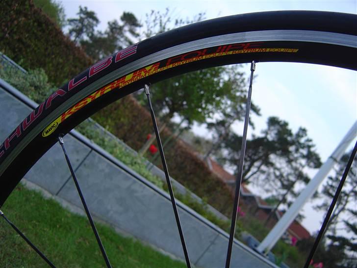 Bianchi 928 MONO-Q TECH billede 10