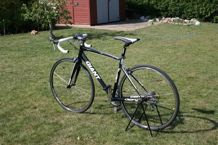 Giant Defy 3 billede 4
