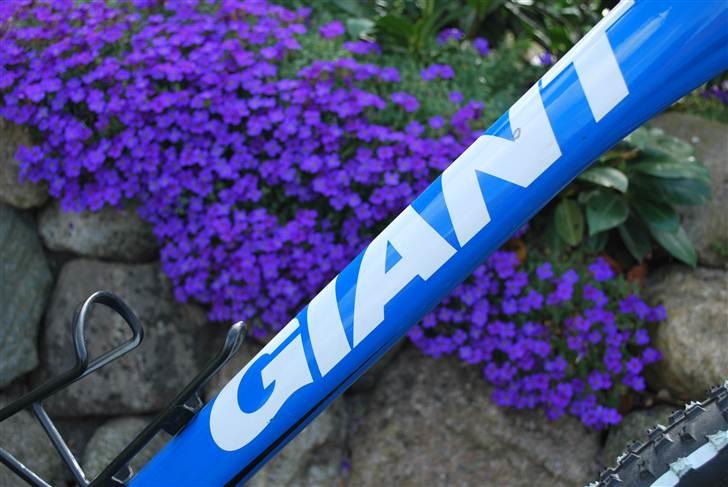 Giant Terrago ***STJÅLET*** billede 7