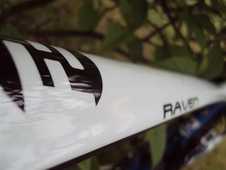 Focus Raven 6.0 2011 billede 7