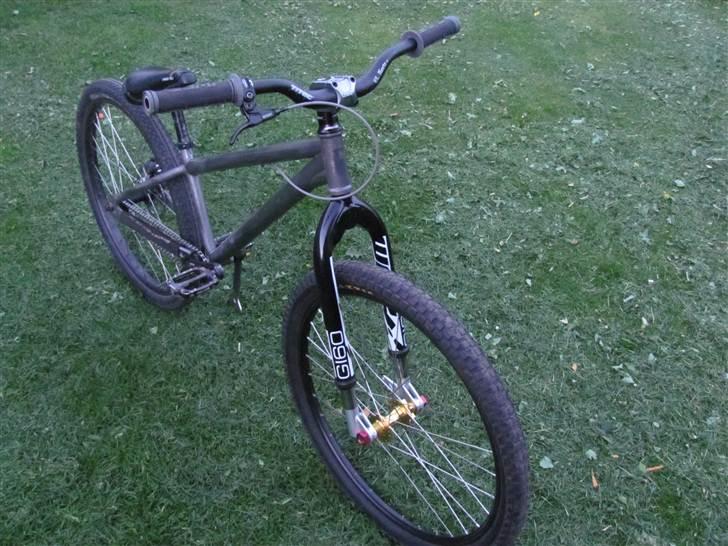 DMR transition billede 2