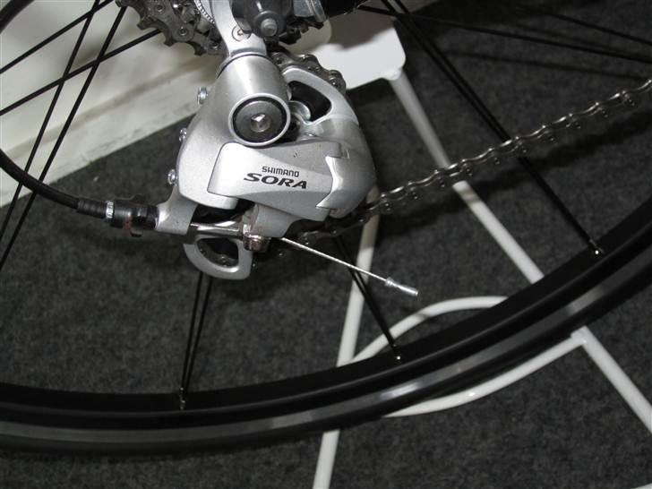 Principia RSL 2011 model *SOLGT* billede 2