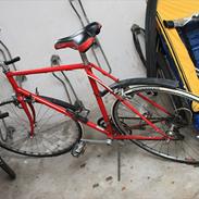 Nishiki No Name Custom