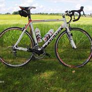 Focus Cayo Expert Ultegra 09