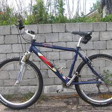 Beone MTB Torix HPD