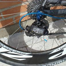 Bianchi Oltre nero limited editio