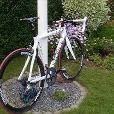 Storck Scenario CD 1.0