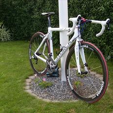 Storck Scenario CD 1.0