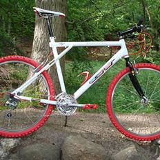 GT  zaskar 2011 GT Hansen