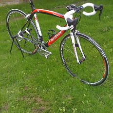 Wilier Izoard xp