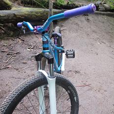 DMR Transition 26''