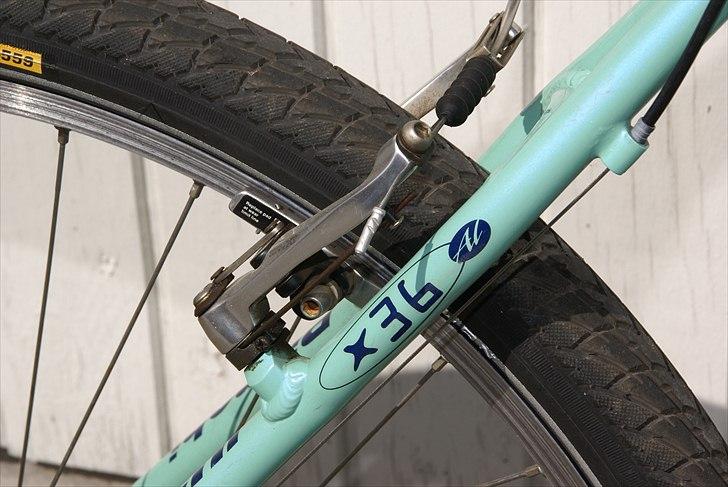 Bianchi Martini Racing billede 10
