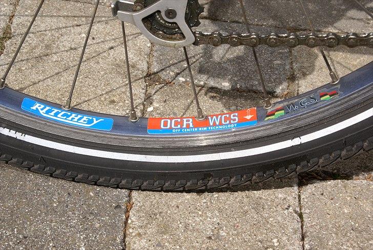 Bianchi Martini Racing billede 13