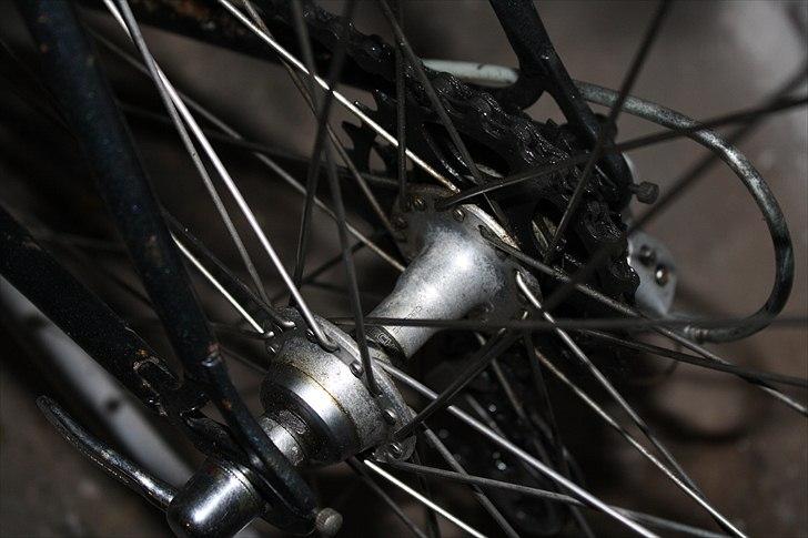 Columbus Customized billede 4