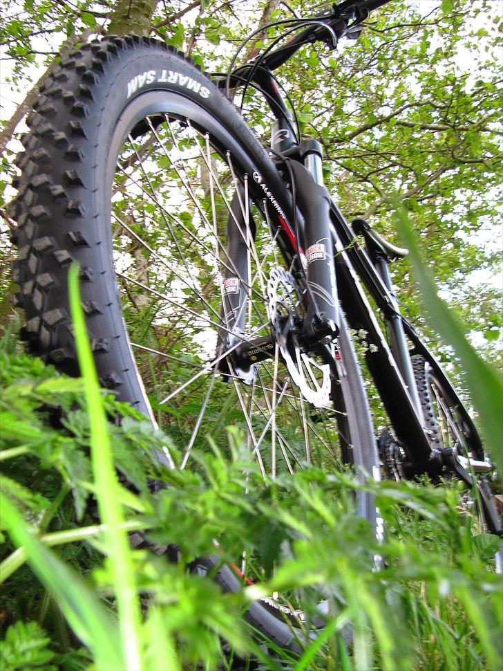 Radon ZR Team 5.0 billede 1