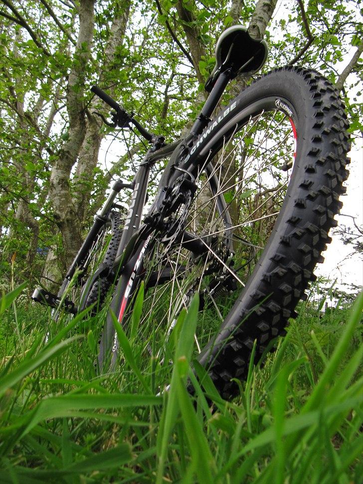 Radon ZR Team 5.0 billede 10