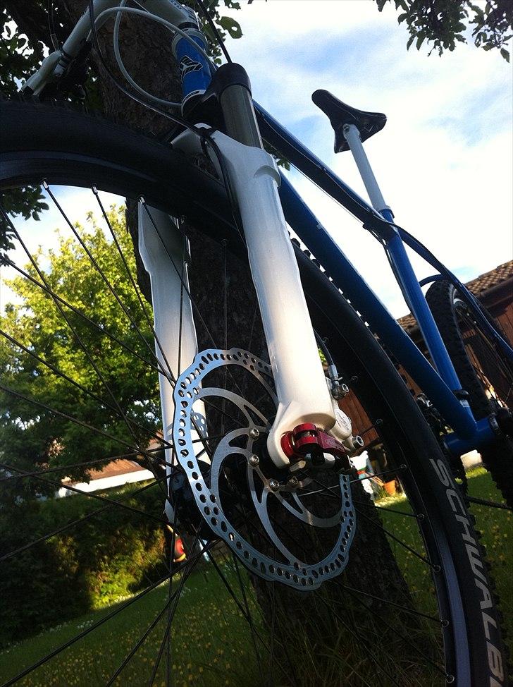 Pipedream Scion billede 7