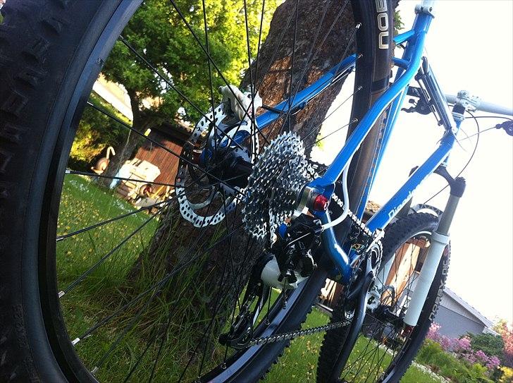 Pipedream Scion billede 14