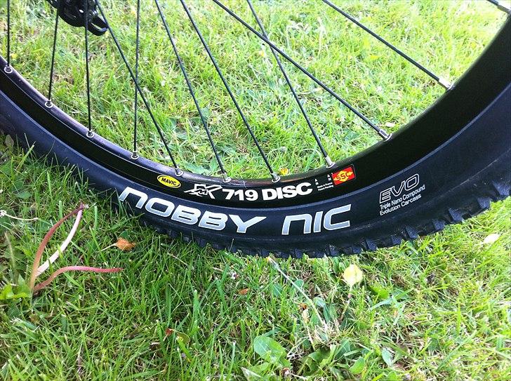 Pipedream Scion billede 16