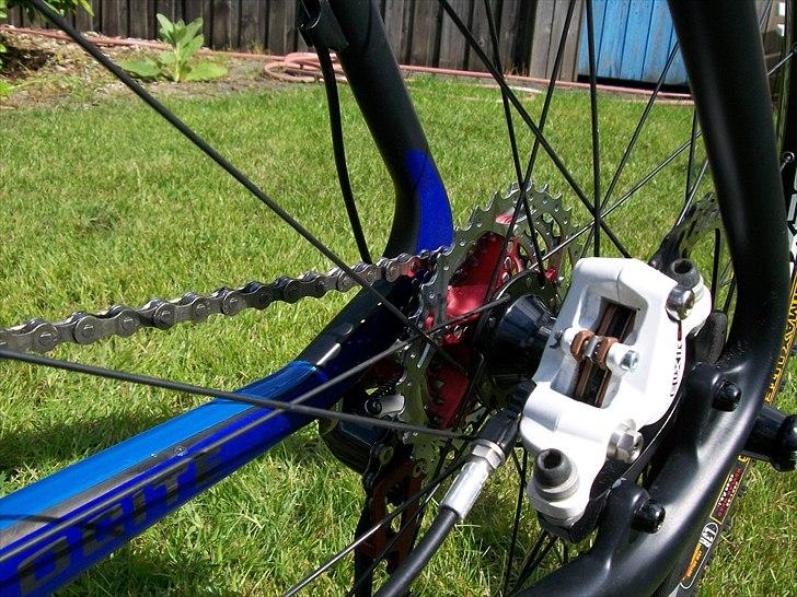 Velocite Flux Team 2011 billede 2