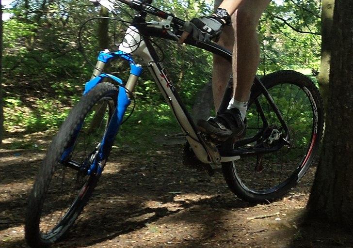 Velocite Flux Team 2011 billede 19