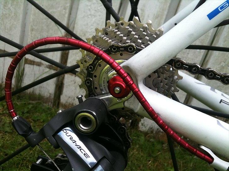 Storck Fenomalist billede 6