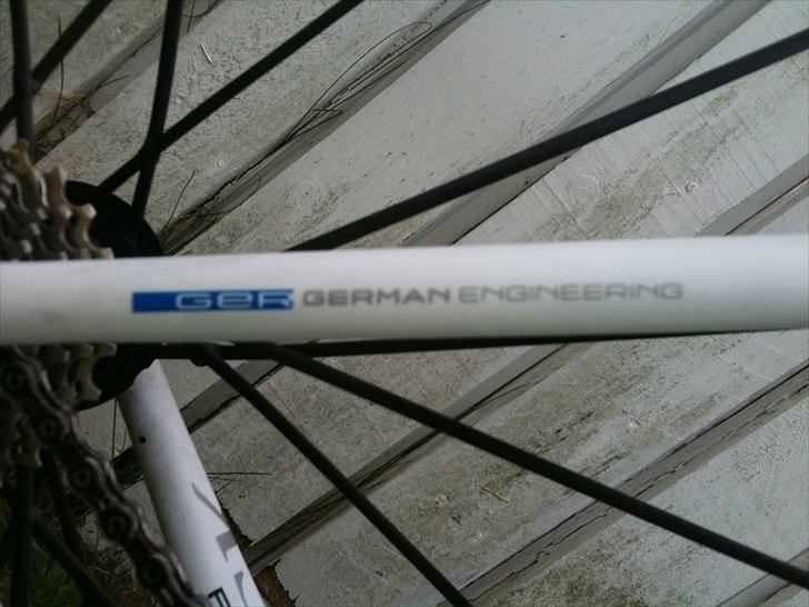 Storck Fenomalist billede 7