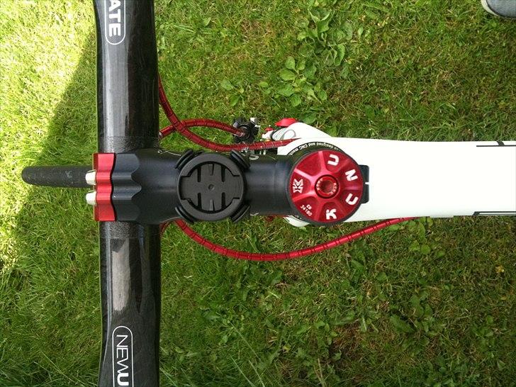 Storck Fenomalist billede 14