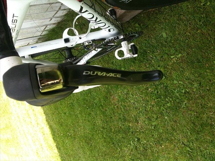 Storck Fenomalist billede 17