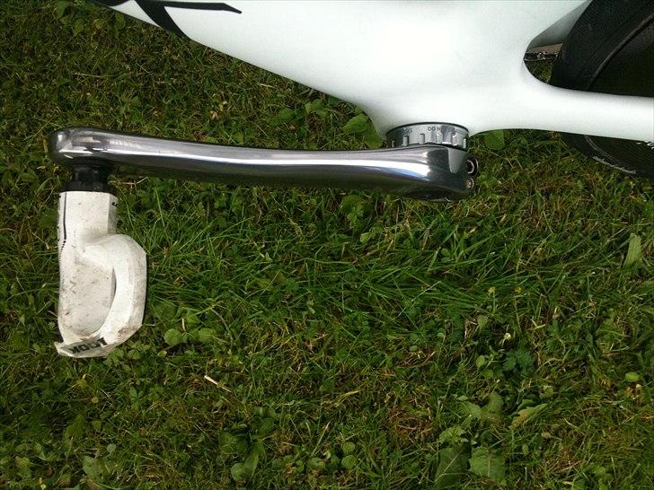 Storck Fenomalist billede 20