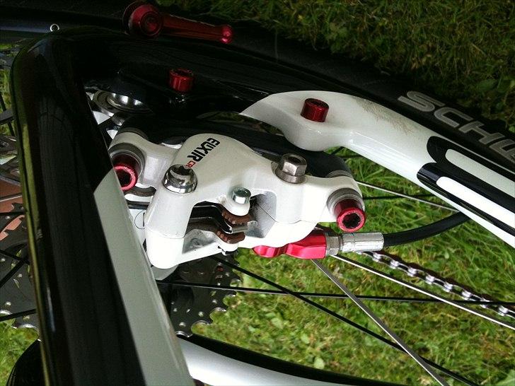Storck rebelion 1,3 billede 7