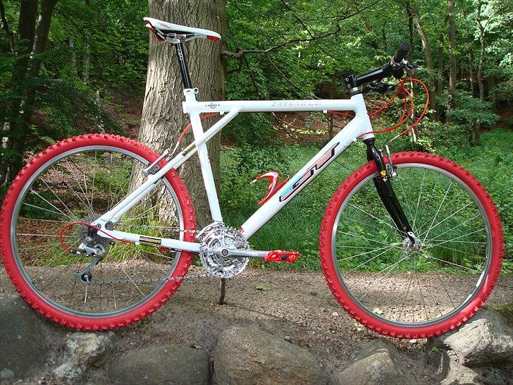 GT  zaskar 2011 GT Hansen billede 3