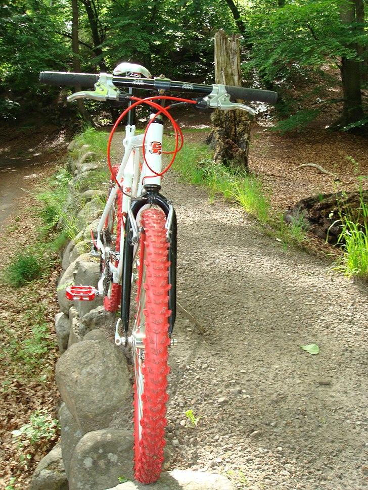 GT  zaskar 2011 GT Hansen billede 11