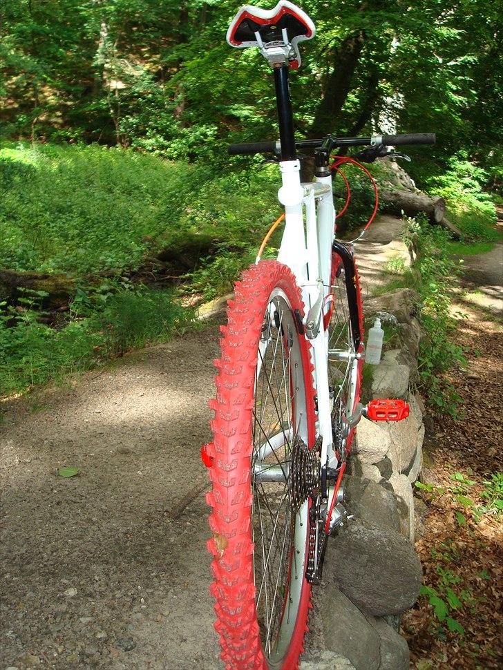 GT  zaskar 2011 GT Hansen billede 13