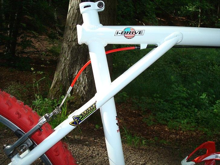 GT  zaskar 2011 GT Hansen billede 14