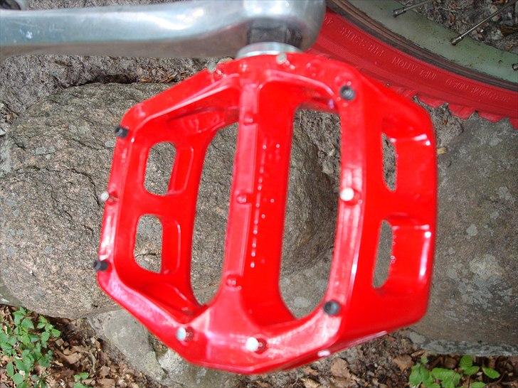 GT  zaskar 2011 GT Hansen billede 16