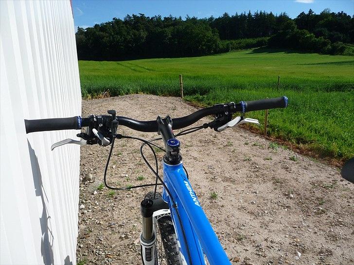 Giant Anthem X 2 09 billede 6