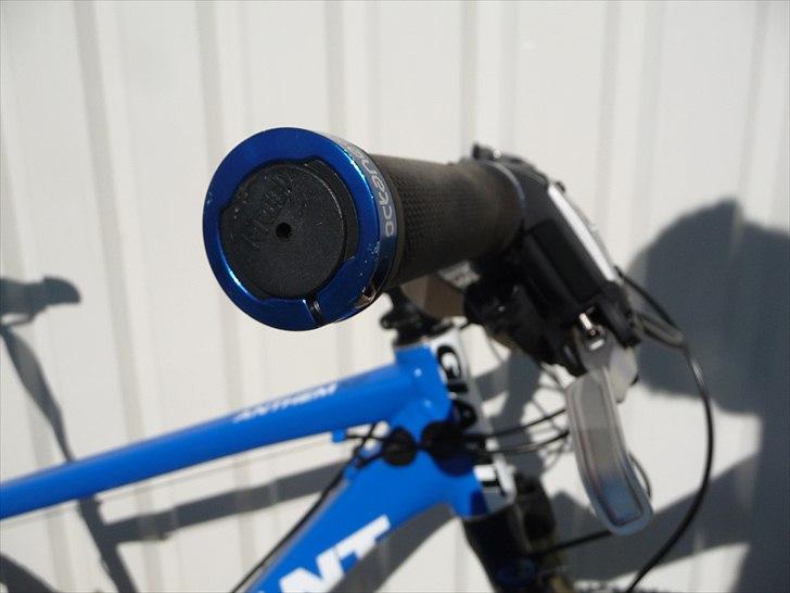 Giant Anthem X 2 09 billede 12