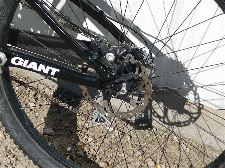 Giant Anthem X 2 09 billede 18