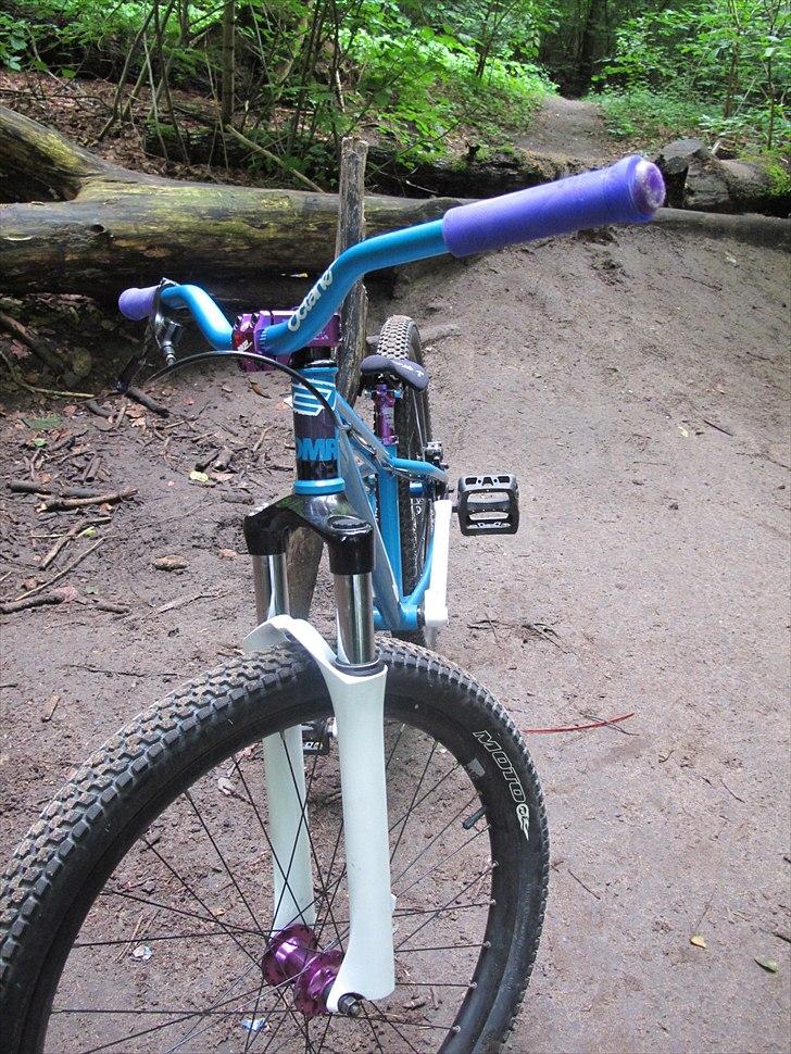 DMR Transition 26'' billede 2