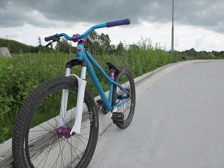 DMR Transition 26'' billede 7
