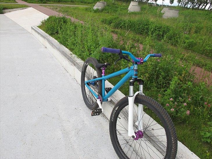 DMR Transition 26'' billede 9