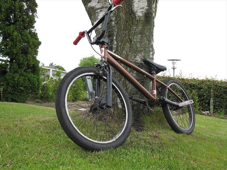 Kuwahara bravo 2,5 20"   2009 billede 2
