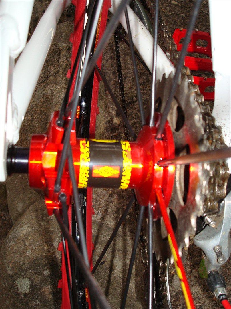 GT  zaskar 2011 GT Hansen billede 10